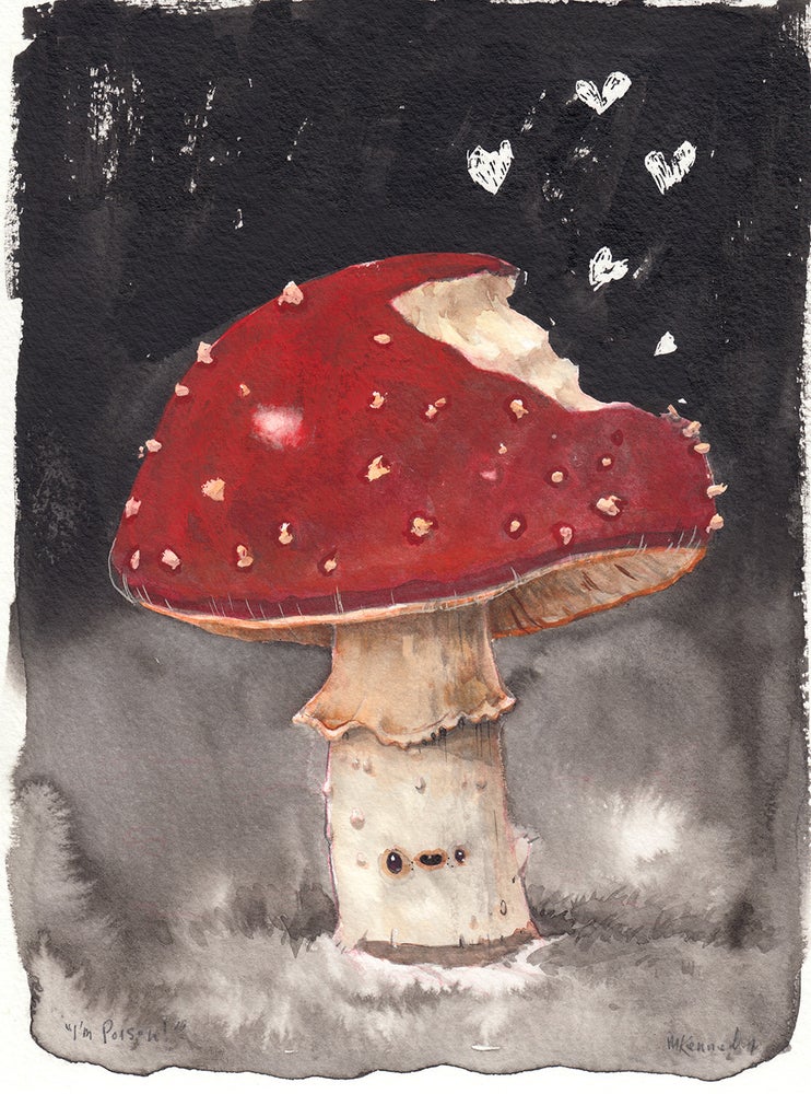 Amanita Boi