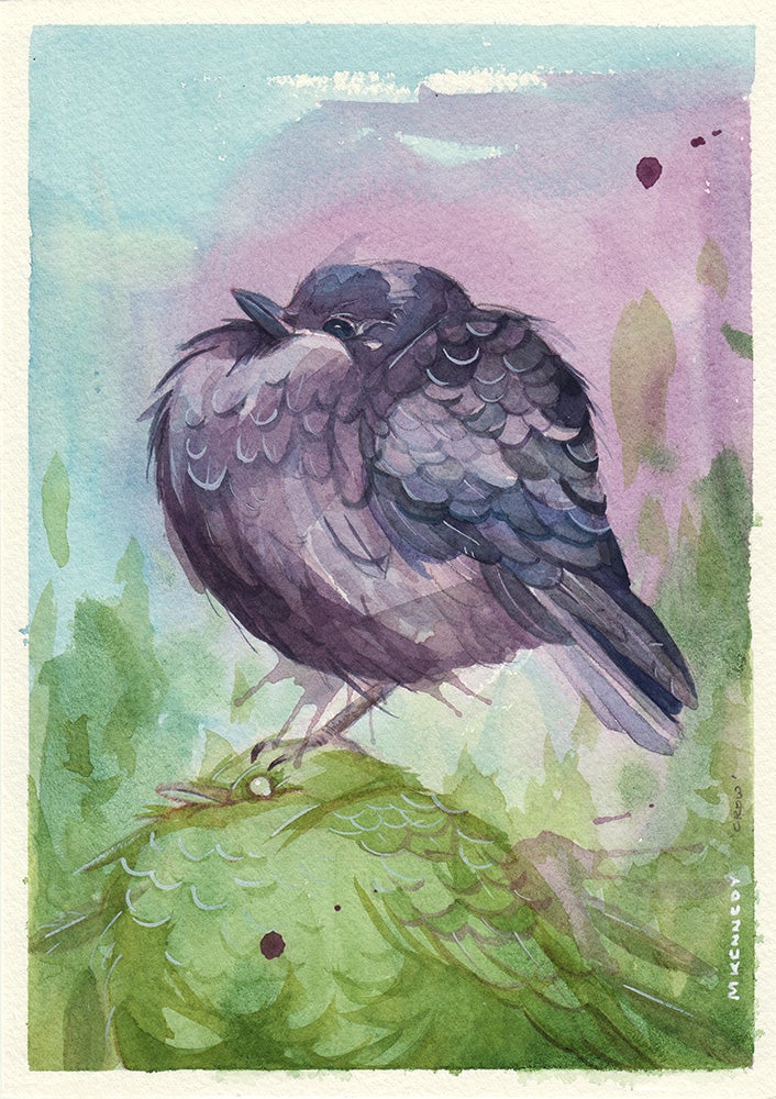 The Crow
