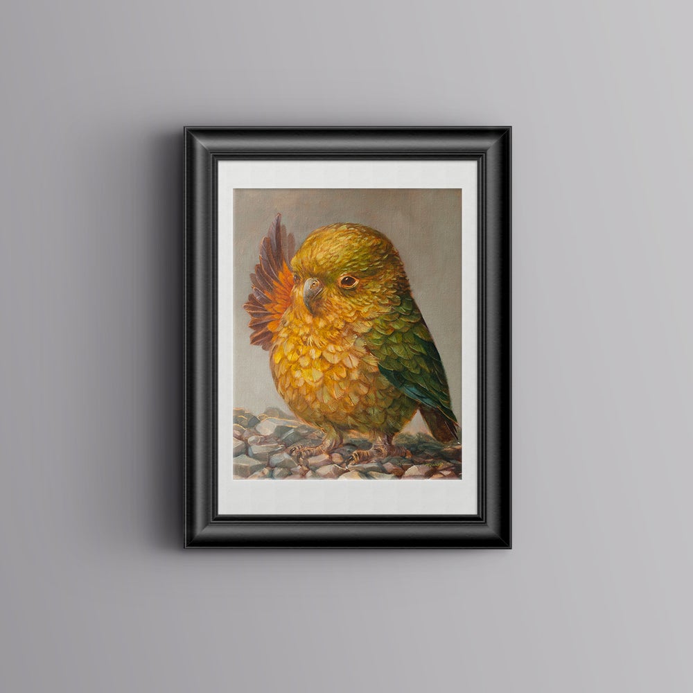 Cheeky Waving Kea