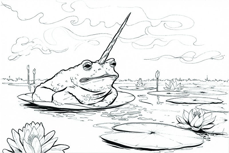 Can it Narwhal? PDF Colouring Book