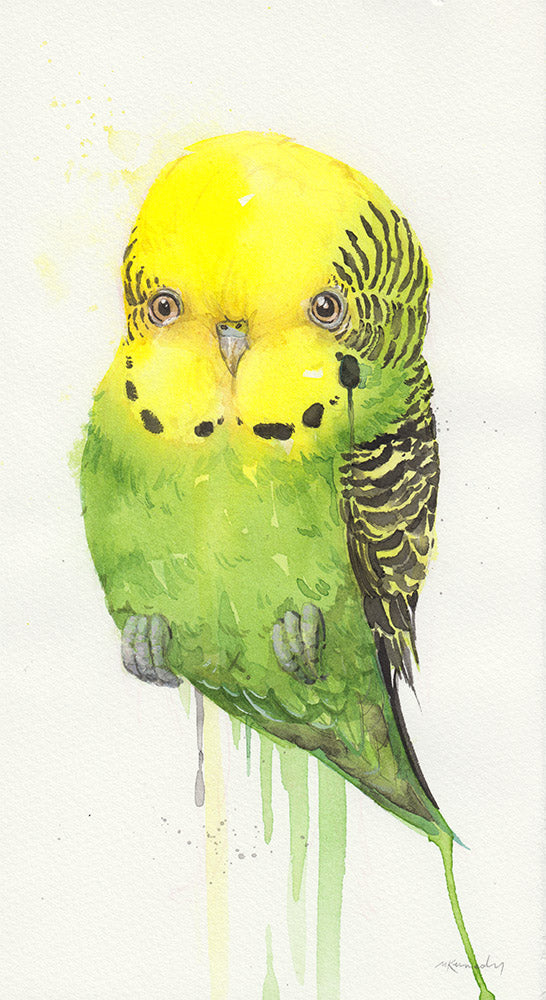 Budgie McBudgieface