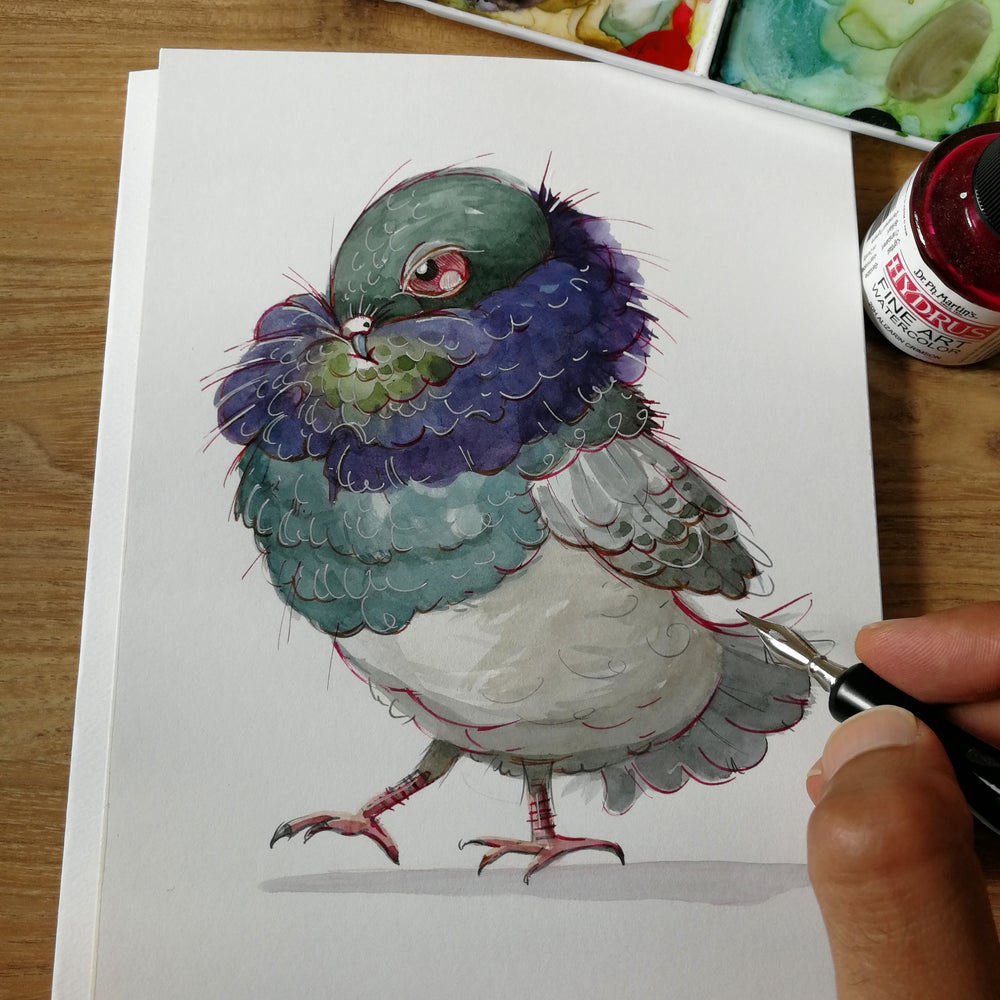 Puffed up Pidgy