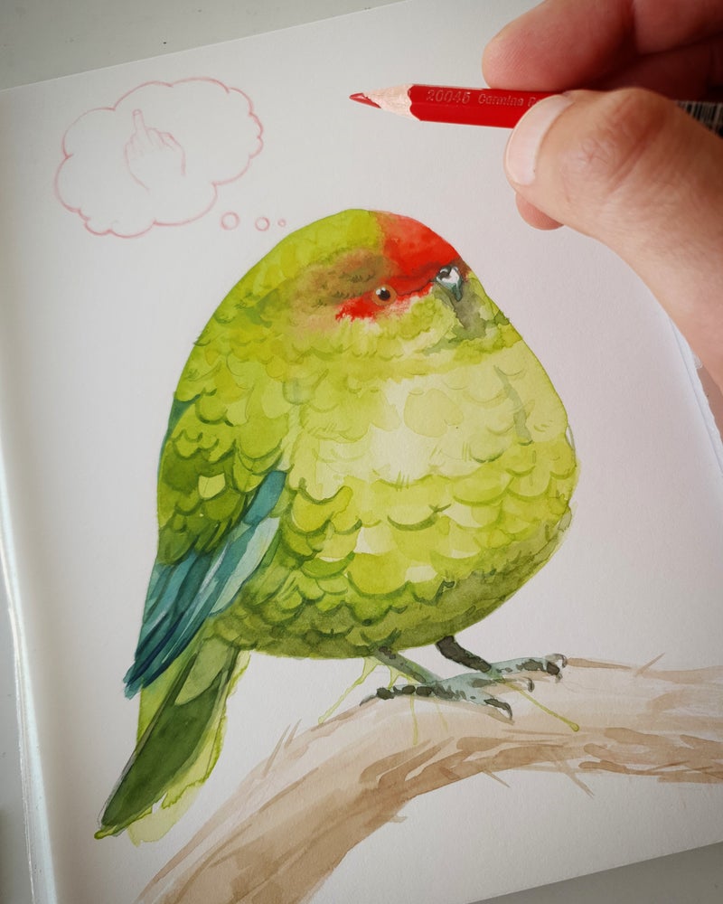 Kakariki Thoughts