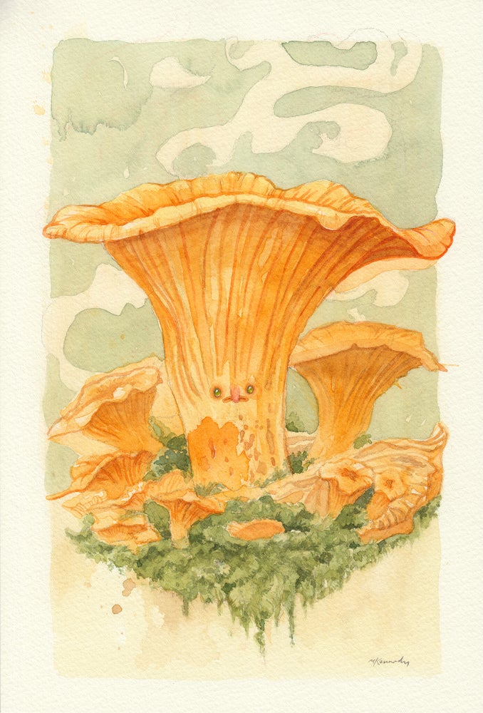 Monsieur Chanterelle